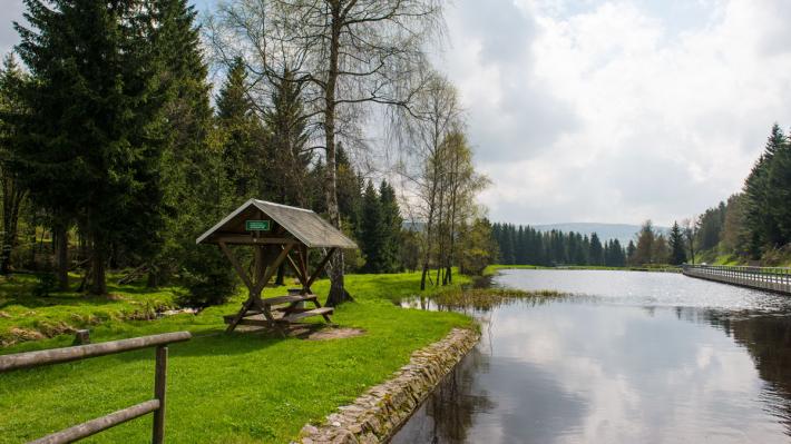 Schwarzer Teich Grenzenloses Erzgebirge